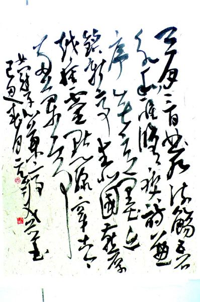 胡抗美作品