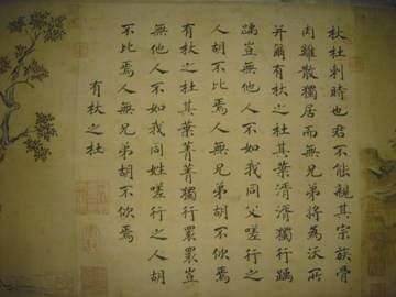 图片资料