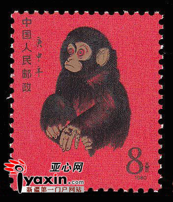 图片资料