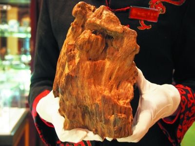 图片资料