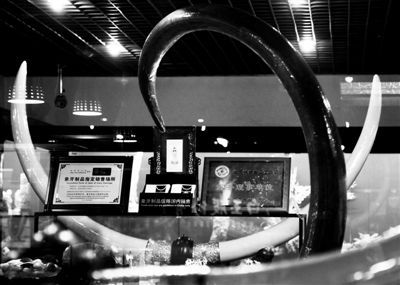 2011年9月20日，北京十里河附近一家合法象牙制品销售点，店内的象牙制品与相关证照摆放在一起。 本报记者 郭铁流 摄