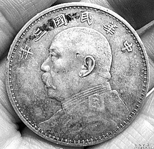 图片资料