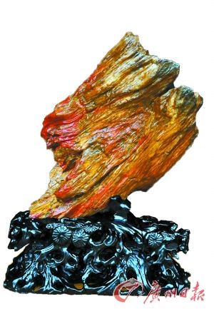 图片资料
