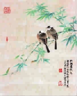 图片资料