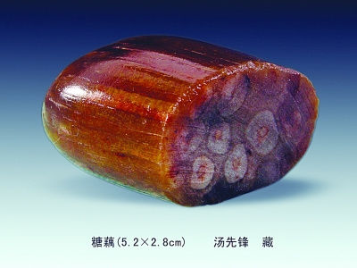 糖藕 汤先锋 供图