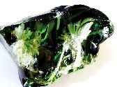 资料图片