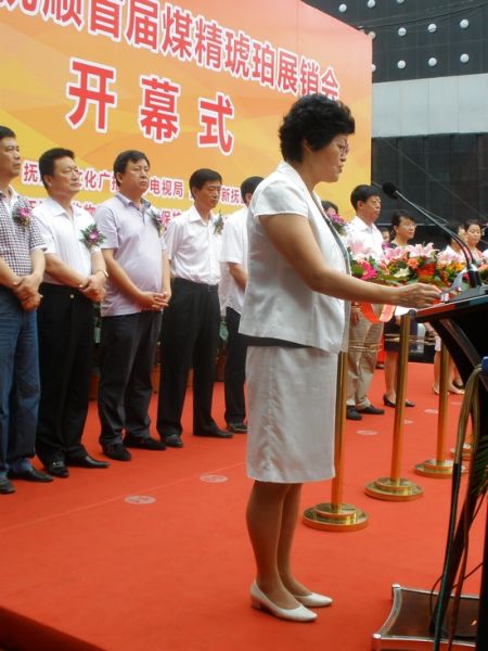 抚顺市副市长刘诗在开幕式上讲话。  