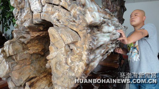 稀有树洞王树化玉 