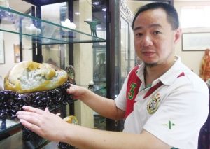 图片资料