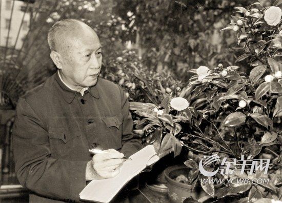 图片资料