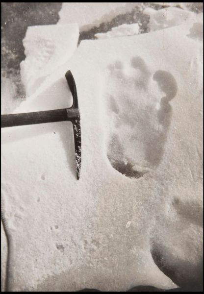 第一组记录雪人足迹照片上拍
