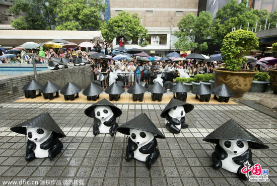 1600纸熊猫香港中环皇后像广场“快闪” 下雨天戴蓑笠帽萌爆游人。Bergen L/东方IC