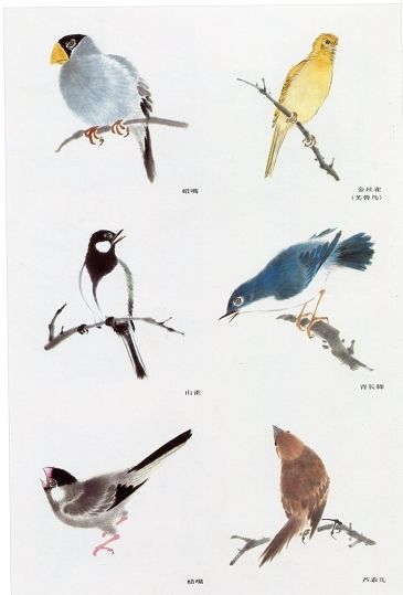 《花鸟画谱》中的鸟画法