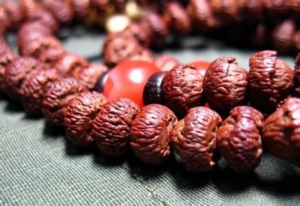 莲花菩提：佛珠中的至尊 象征“纯洁不染”