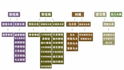 《红木》国标五属八类33种材分类图（制图 张海宁）